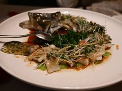 豉油皇鲜花椒蒸桂鱼-觅唐MITONG(鸟巢店)