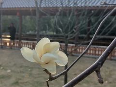 -金山公园