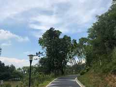 -东莞植物园