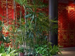-大视光学•LINDBERG林德伯格•全球手工眼镜集合店(王府井店)