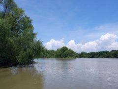 -大湾区中央湿地公园