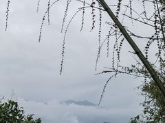 -福建鲤鱼洲酒店