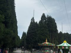 -武陵山森林公园