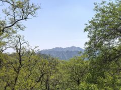 -大泽山风景名胜区