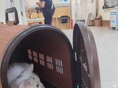 -美联众合动物医院·24h京西诊疗中心