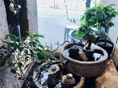 -中8楼风尚云南菜(颐堤港店)