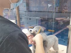 -FAELING PETS美天灵宠物(富力广场店)