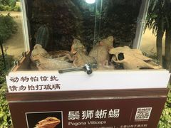 -南宫五洲植物乐园