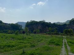 -南山植物园