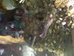 iphone_upload_pic-上海大自然野生昆虫馆