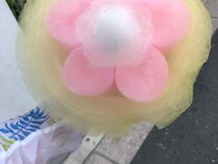 -Lotso Lunch Box 草莓熊餐盒