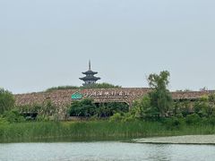 -洋湖国家湿地公园