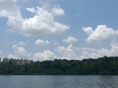 -昆山城市生态森林公园