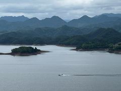 -浔味·山屿湖·正宗淳牌全鱼宴老字号