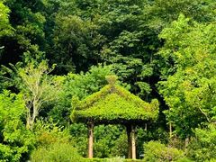 -云溪植物园