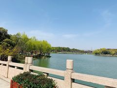 -昆山城市生态森林公园