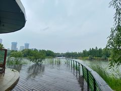-尚贤河湿地