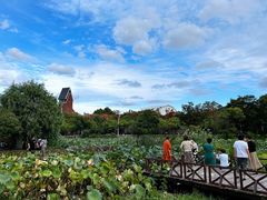-美兰湖景区