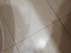 -上海锦江金门大酒店