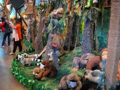 -济州岛泰迪熊博物馆