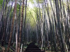 -缙云山景区