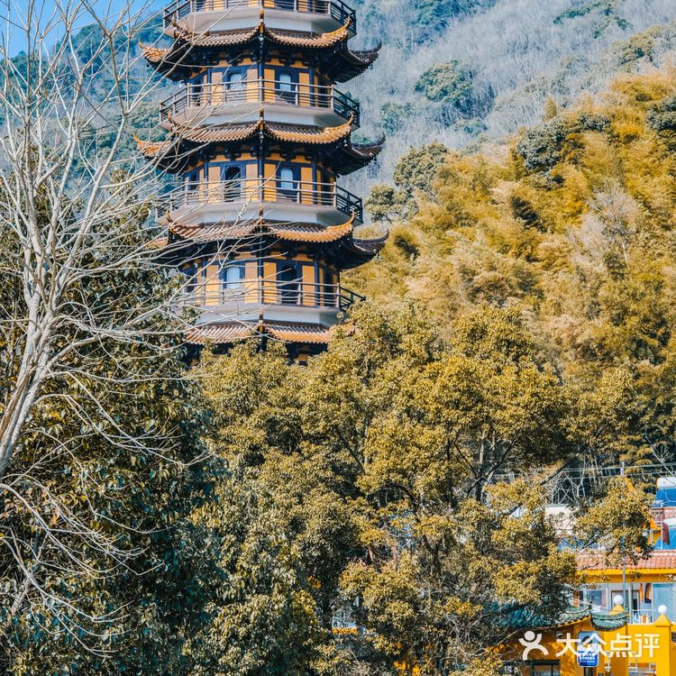 宁波|慧日禅寺,99.9%的人都不知道的小众寺庙