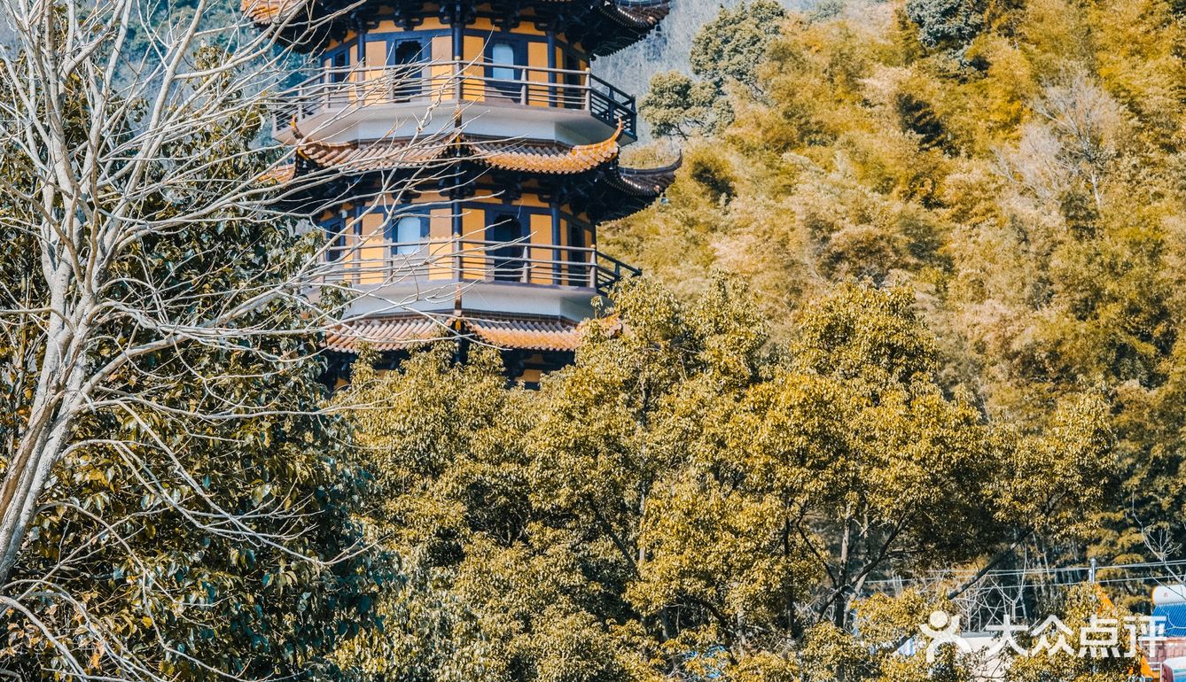 宁波｜慧日禅寺，99.9%的人都不知道的小众寺庙