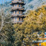 宁波｜慧日禅寺，99.9%的人都不知道的小众寺庙