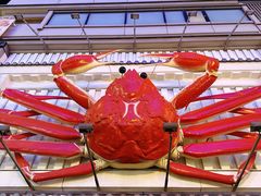 -蟹道乐(道顿堀本店)