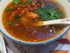 -小杨生煎(周浦万达店)