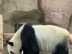 -无锡动物园·太湖欢乐园