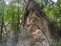 -大岭沟猕猴桃谷风景区