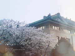 -武汉大学-樱园