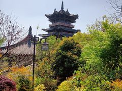 -杭州半山国家森林公园