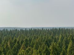 -黄海国家森林公园