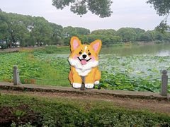 -南昌青山湖风景区