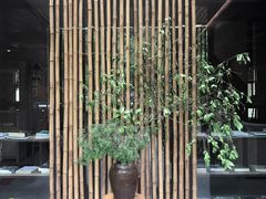 -看见远方·莫干遥远的山民宿