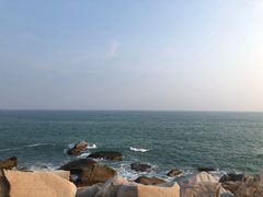 -广东惠东海龟国家级自然保护区