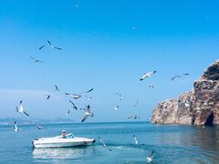 -海驴岛(荣成市)