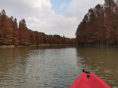 -上海海湾国家森林公园