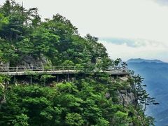 android_upload_pic-秦岭天竺山景区