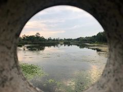 -贡湖湾湿地公园