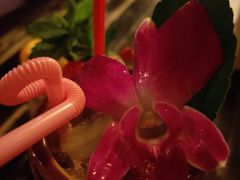 -The Tiki Bungalow提基小木屋酒吧