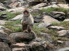 -合肥野生动物园