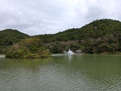 -广州白江湖森林公园
