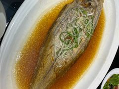 野生大圆头-启东海鲜人家(古美路店)
