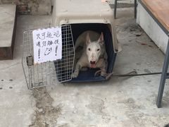 门面-Tian品
