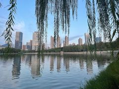 -后襄河公园