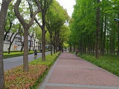 -上海财经大学(国定路校区)