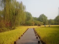 -北坞公园
